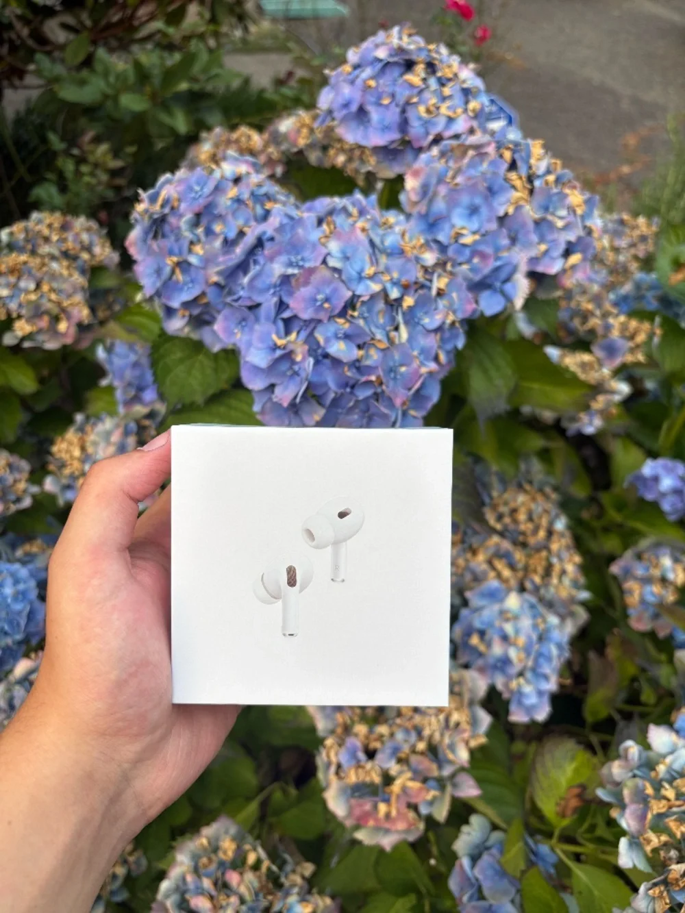 Apple AirPods Pro (2nd generation) With MagSafe Charging Case (USB-C)